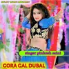 About gora gal dubal Song